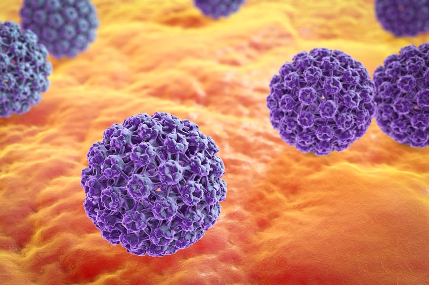 Wirus HPV cz.1